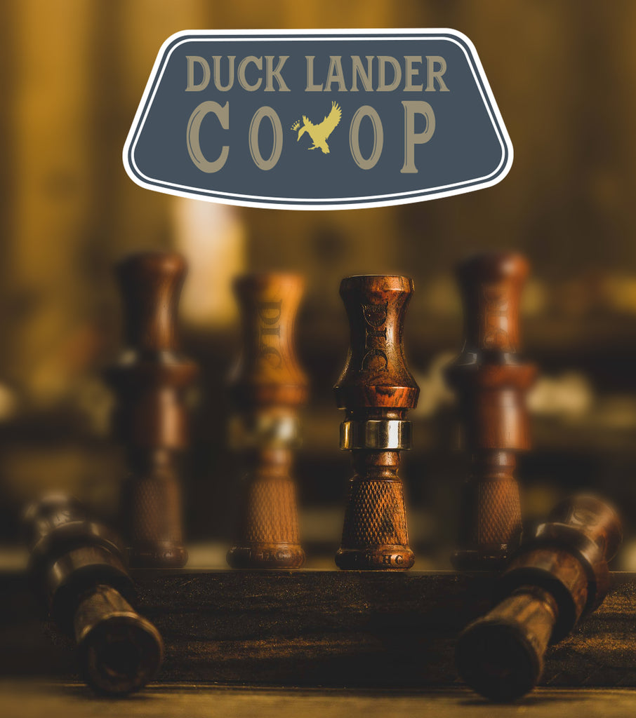 Duck Lander CO-OP